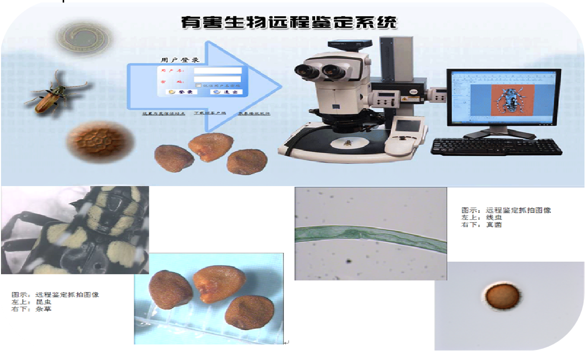 有害生物遠程鑒定系統(tǒng)